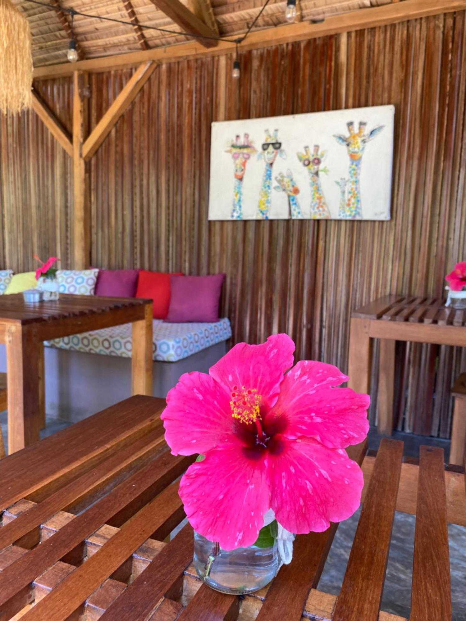 La Perle Rare De Nosy Be Hotel Ambatoloaka  Bagian luar foto