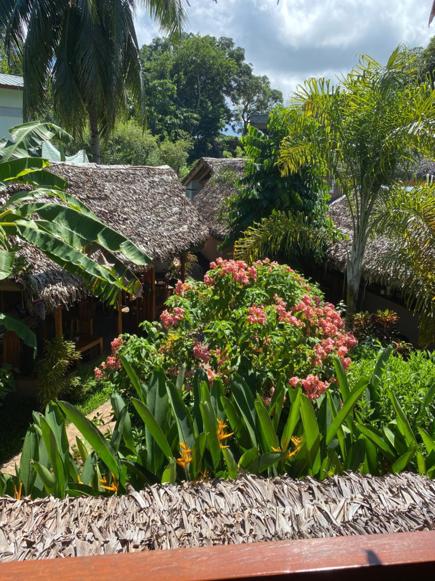 La Perle Rare De Nosy Be Hotel Ambatoloaka  Bagian luar foto