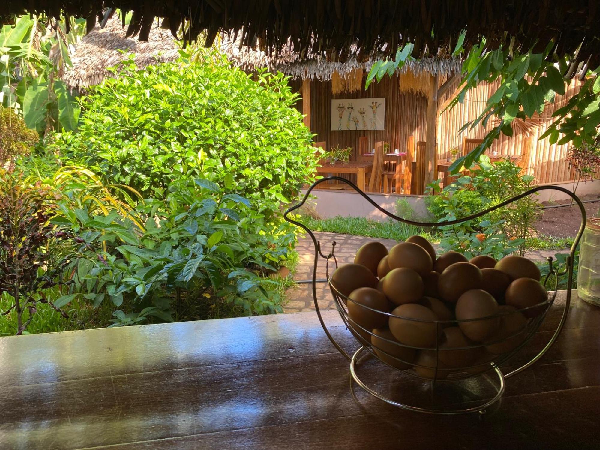 La Perle Rare De Nosy Be Hotel Ambatoloaka  Bagian luar foto